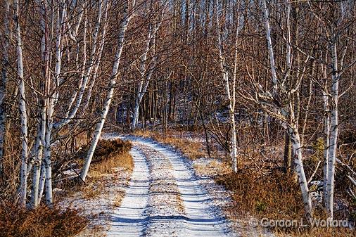 Snowy Lane_20072.jpg - Photographed near Westport, Ontario, Canada.